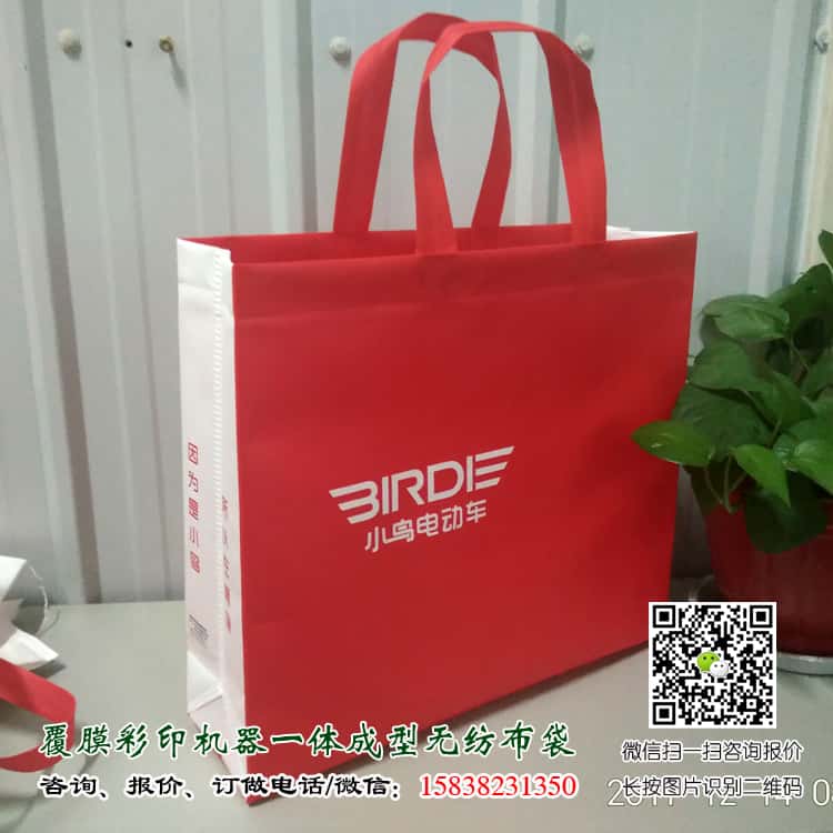 彩印一次成型袋廠家訂做 電話/微信15838231350  第5張