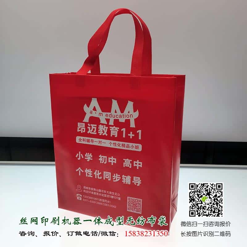 學(xué)校教育培訓(xùn)機(jī)構(gòu)廣告宣傳手提袋哪里可以做？  第2張