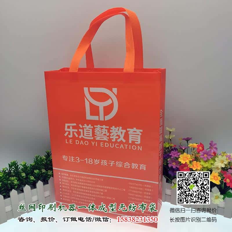學(xué)校教育培訓(xùn)機(jī)構(gòu)廣告宣傳手提袋哪里可以做？  第3張