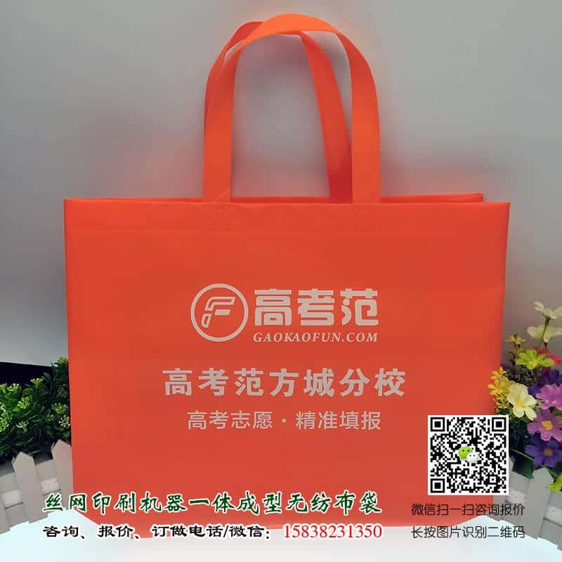 學(xué)校教育培訓(xùn)機(jī)構(gòu)廣告宣傳手提袋哪里可以做？  第4張