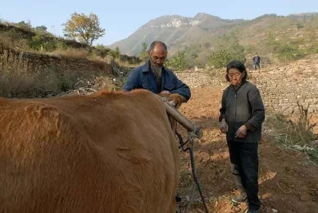 山區留守老人黃小米銷路難,緊急求援,讓我們一起轉發,給他們多一份希望.  第3張